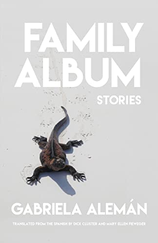 Family Album: Stories [Paperback]