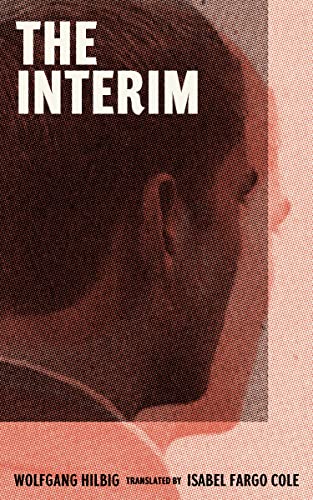 The Interim [Paperback]