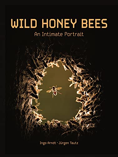 Wild Honey Bees: An Intimate Portrait [Hardcover]