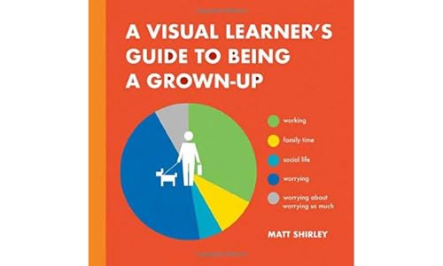 A Visual Learner's Guide to Being a Grown-Up [Hardcover]