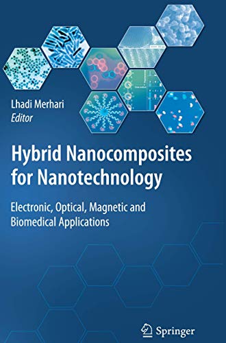 Hybrid Nanocomposites for Nanotechnology: Electronic, Optical, Magnetic and Biom [Paperback]