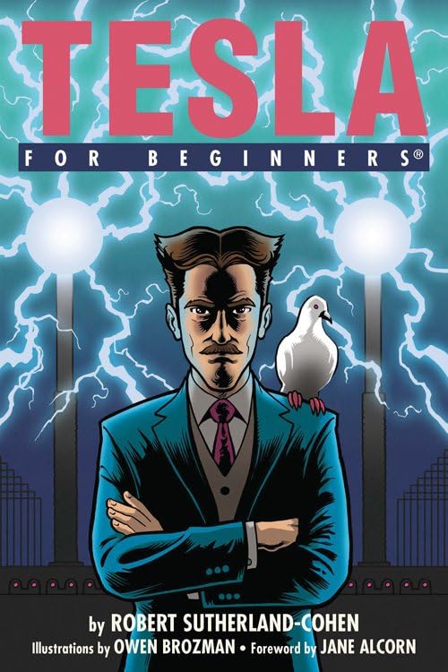 Tesla For Beginners [Paperback]