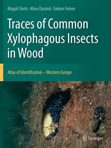 Traces of Common Xylophagous Insects in Wood: