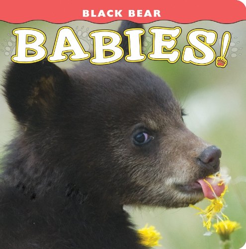 Black Bear Babies! [Hardcover]