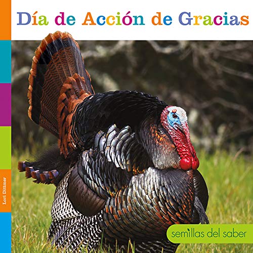 D?a de acci?n de gracias [Paperback]