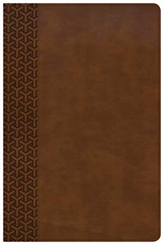 CSB Everyday Study Bible, British Tan LeatherTouch [Unknon]