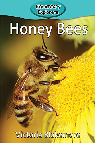 Honey Bees (elementary Explorers) [Paperback]