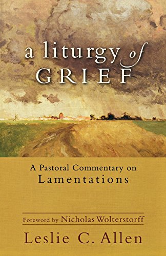 Liturgy Of Grief, A [Paperback]