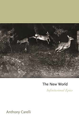 The Ne World Infinitesimal Epics [Hardcover]