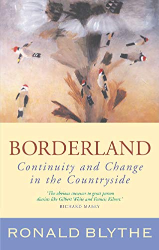 Borderland Continuity And Change In The Countryside (ormingford) [Paperback]