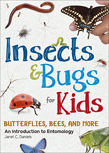 Insects & Bugs for Kids: An Introduction