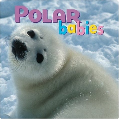 Polar Babies [Board book]