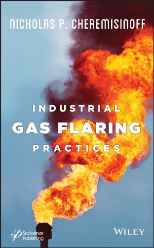 Industrial Gas Flaring Practices [Hardcover]