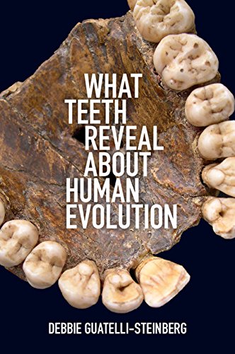 What Teeth Reveal about Human Evolution [Paperback]