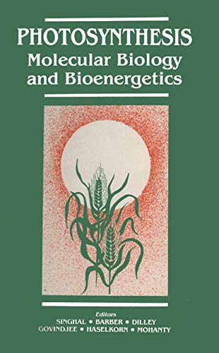 Photosynthesis: Molecular Biology and Bioenergetics [Paperback]