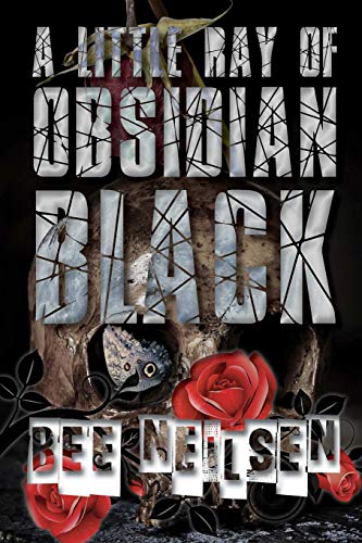 Little Ray of Obsidian Black [Paperback]