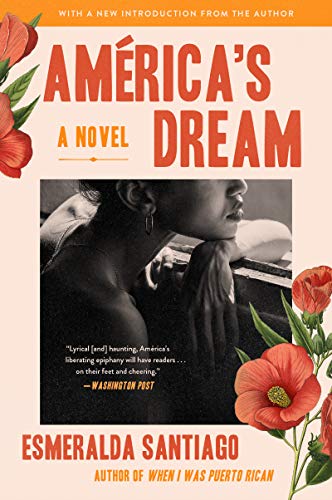 America's Dream: A Novel [Paperback]