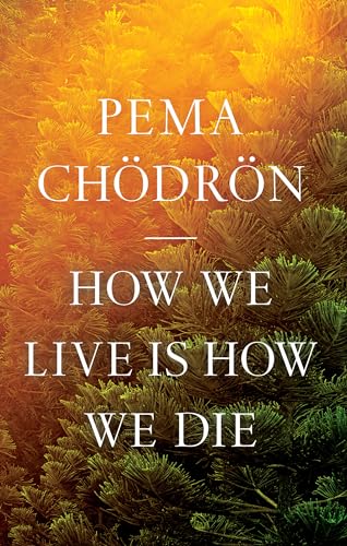 How We Live Is How We Die [Paperback]