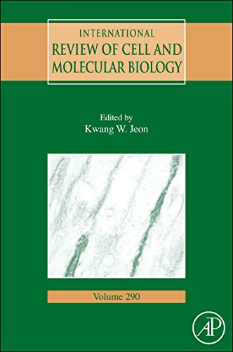 International Revie of Cell and Molecular Biology [Hardcover]