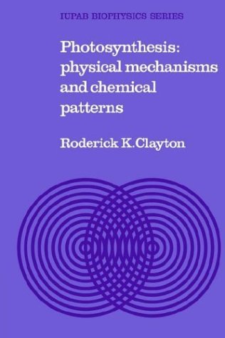 Photosynthesis Physical Mechanisms and Chemical Patterns [Paperback]