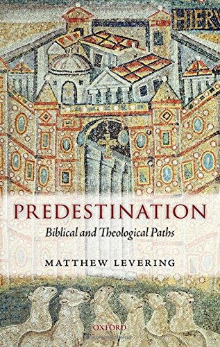 Predestination Biblical and Theological Paths [Hardcover]