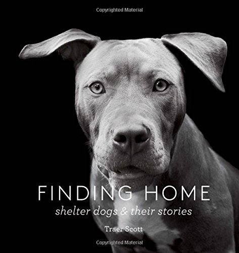 Finding Home: Shelter Dogs and Their Stories