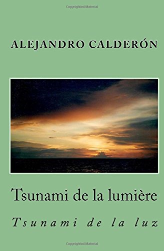 Tsunami de la Lumiere  Tsunami de la Luz [Paperback]