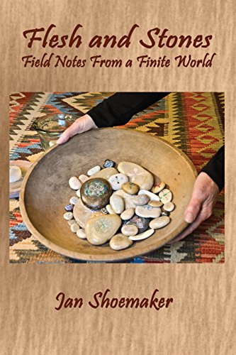 Flesh And Stones Field Notes From A Finite World (harmony Memoir Series) [Paperback]