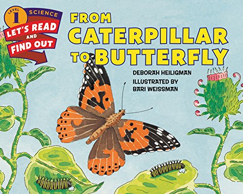 From Caterpillar To Butterfly (let's-Read-And-Find-Out Science 1) [Paperback]