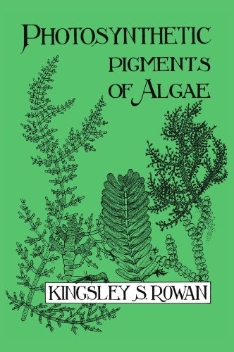 Photosynthetic Pigments of Algae [Paperback]