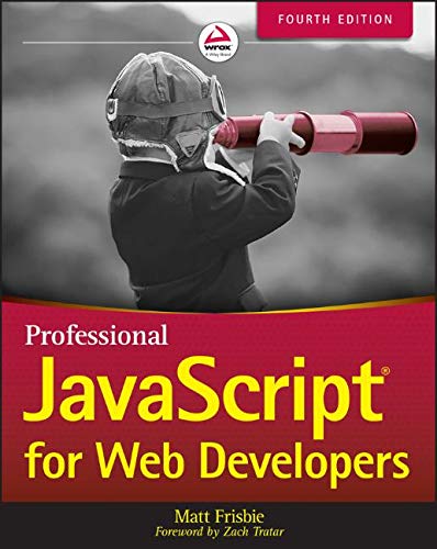 Professional JavaScript for Web Developers [Paperback]