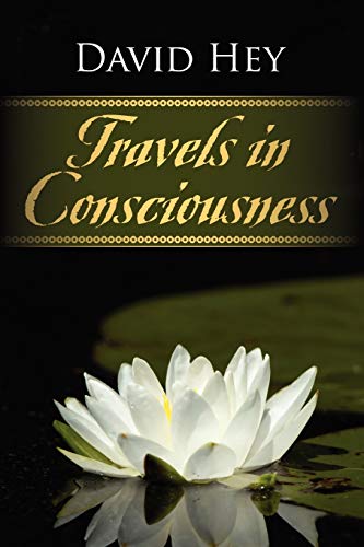 Travels In Consciousness [Paperback]