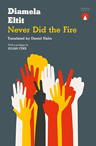 Never Did the Fire [Paperback]