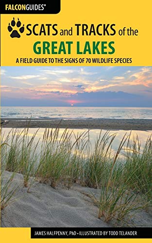 Scats and Tracks of the Great Lakes: A Field Guide to the Signs of 70 Wildlife S [Paperback]