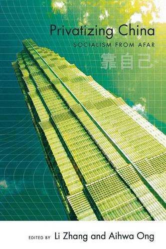 Privatizing China Socialism From Afar [Paperback]