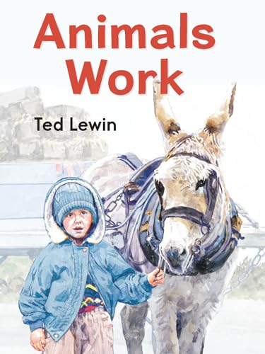 Animals Work [Board book]