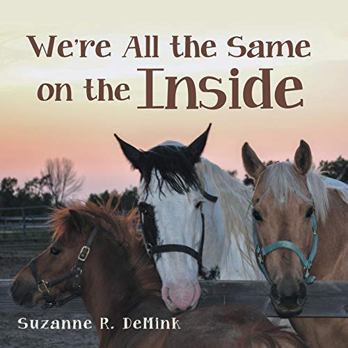 We're All The Same On The Inside [Paperback]