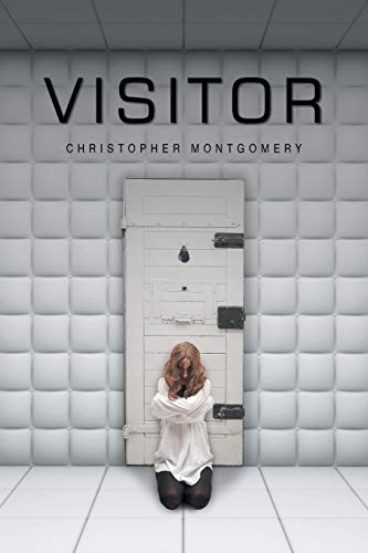 Visitor [Paperback]