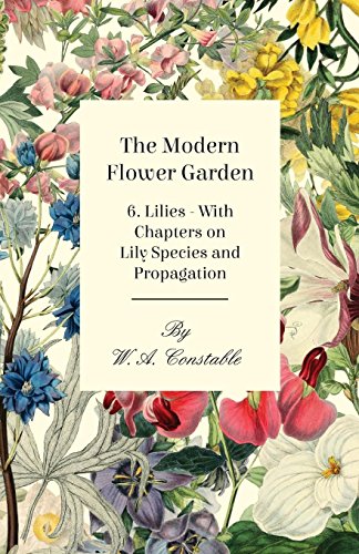 Modern Floer Garden 6 Lilies - ith Chapters on Lily Species and Propagation [Paperback]