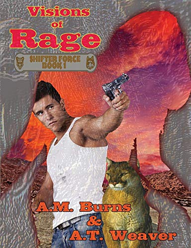 Visions of Rage [Paperback]