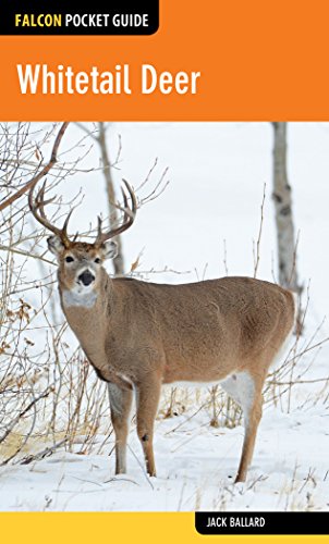 Whitetail Deer [Paperback]