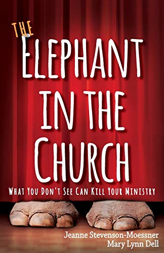 The Elephant In The Church What You Don't See Can Kill Your Ministry [Paperback]