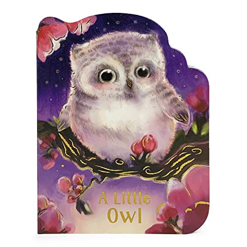 Little Owl [Unknown]