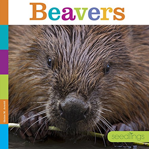 Seedlings: Beavers [Paperback]