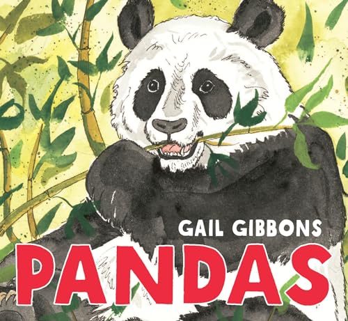 Pandas [Board book]