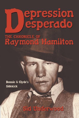 Depression Desperado [Paperback]