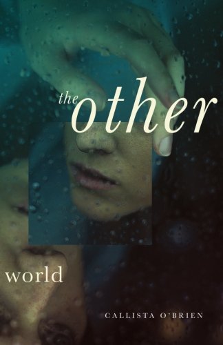 The Other World [Paperback]