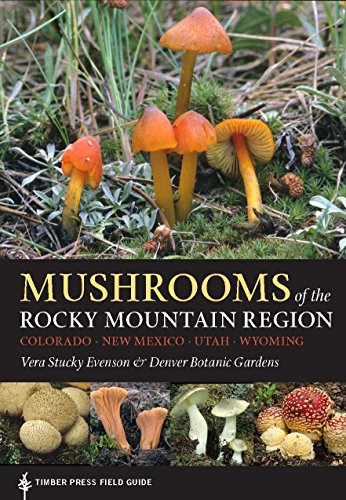 Mushrooms of the Rocky Mountain Region [Paperback]