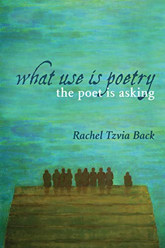 What Use Is Poetry, the Poet Is Asking [Paperback]