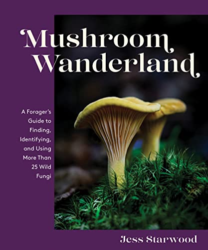 Mushroom Wanderland: A Forager's Guide to Fin